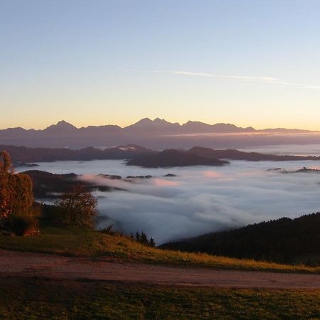 Gostisce In Penzion Stari Vrh Poljane nad Škofjo Loko Buitenkant foto