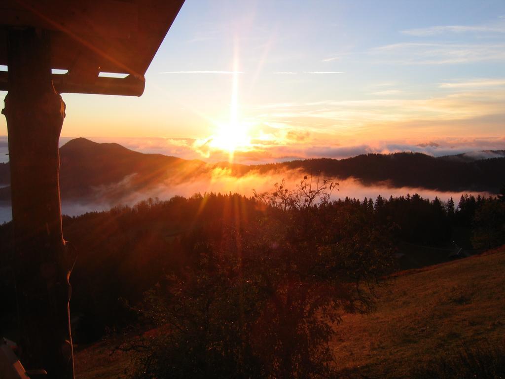 Gostisce In Penzion Stari Vrh Poljane nad Škofjo Loko Buitenkant foto