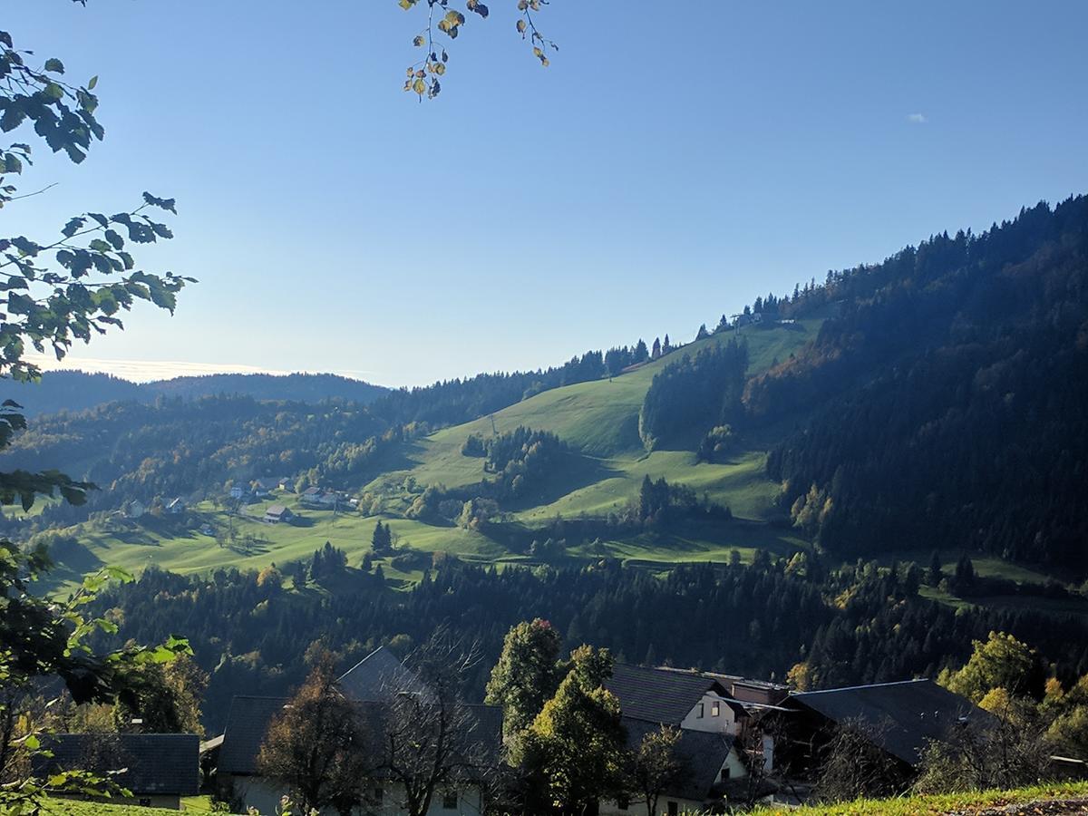 Gostisce In Penzion Stari Vrh Poljane nad Škofjo Loko Buitenkant foto